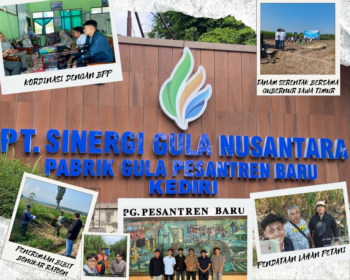 foto Keterlibatan Mahasiswa PSDKU Universitas Brawijaya Kediri dalam Pendataan dan Verifikasi Program CPCL Bongkar Ratoon kolaborasi Dinas Pertanian dan Pabrik Gula Pesantren Baru Kediri
